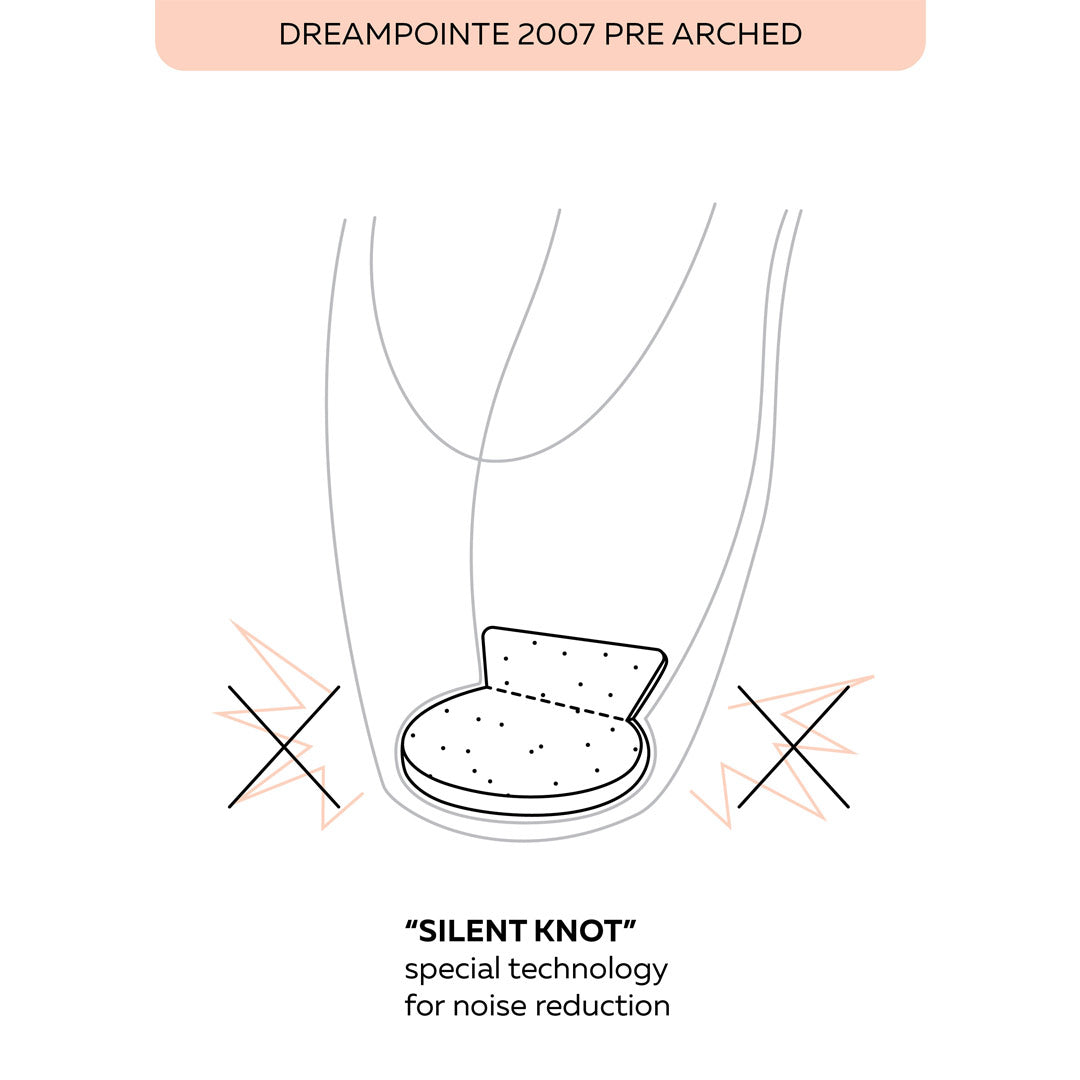 Pouent Papoutsia Mpaletou Grishko Dreampointe 2007 Pre Arched Pointe Shoes Box Details 2 MelizDanceShop