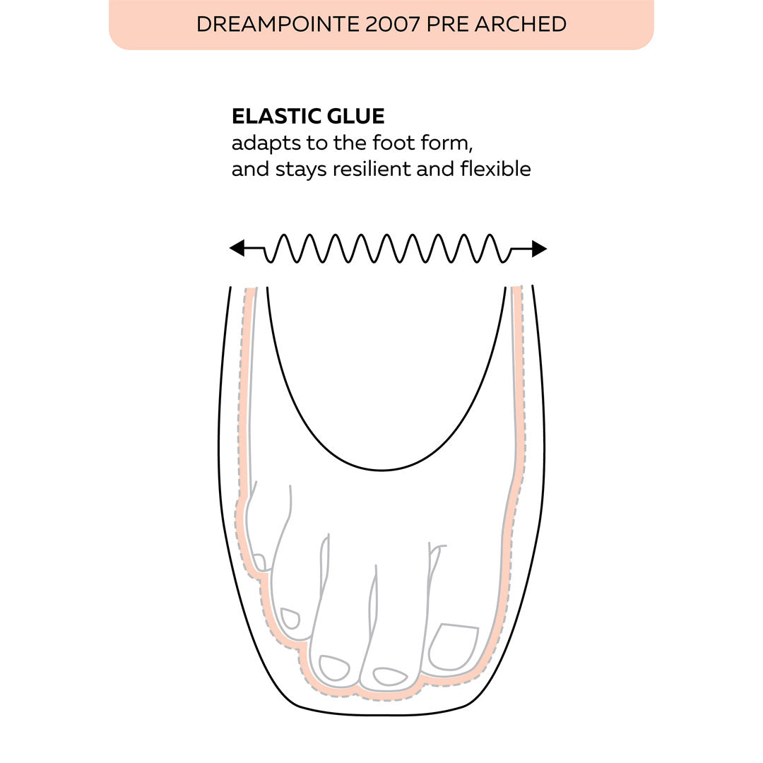 Pouent Papoutsia Mpaletou Grishko Dreampointe 2007 Pre Arched Pointe Shoes Box Details MelizDanceShop