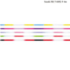 Kordela rythmikis Gynastikis Polixromi Agonistiki Sasaki MJ-714HG-F 4m High Pitch Gradation FIG Color Chart MelizDanceShop