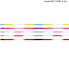 Kordela rythmikis Gynastikis Polixromi Agonistiki Sasaki MJ-715HG-F 5m High Pitch Gradation FIG Color Chart MelizDanceShop